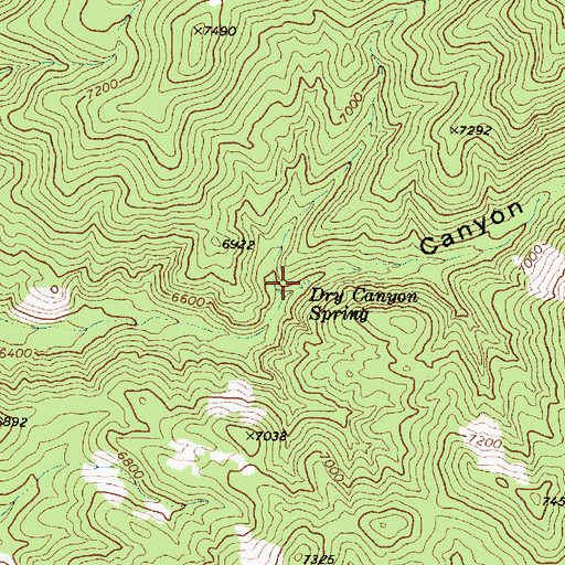 Topographic Map of Dry Canyon Spring, NV