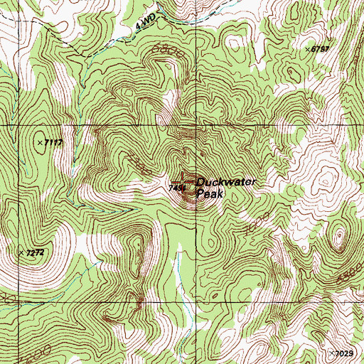 Topographic Map of Duckwater Peak, NV