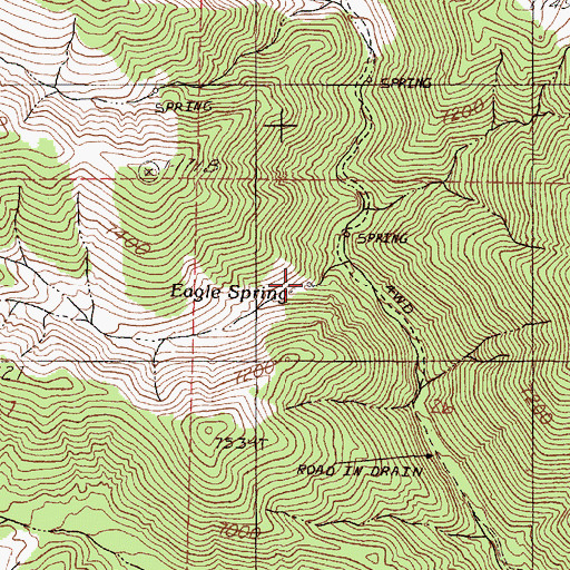 Topographic Map of Eagle Spring, NV