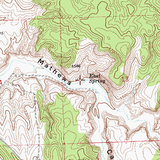 Topographic Map of East Spring, NV