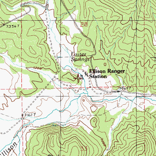 Topographic Map of Ellison Ranger Station, NV