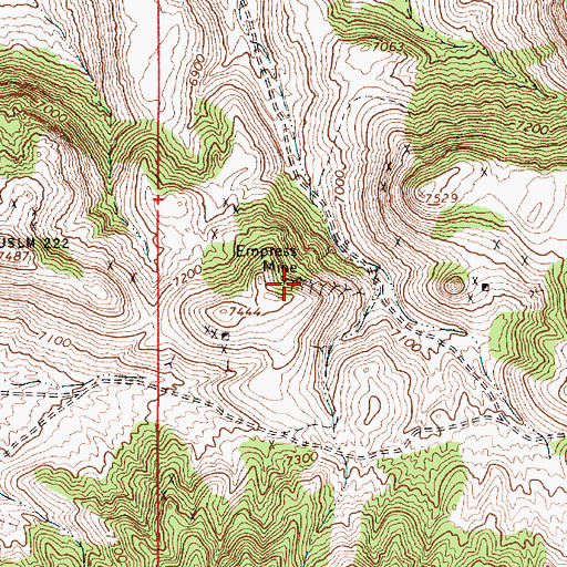 Topographic Map of Empress Mine, NV