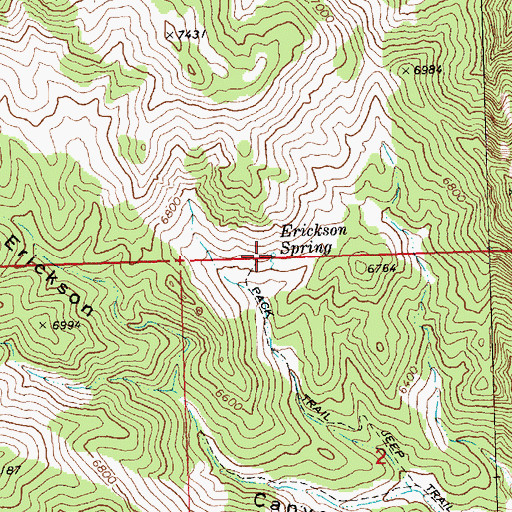 Topographic Map of Erickson Spring, NV