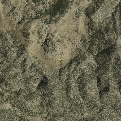 Aerial/Satellite Image of Erickson Spring, NV