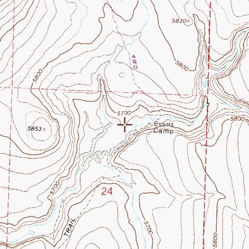 Topographic Map of Evans Camp, NV