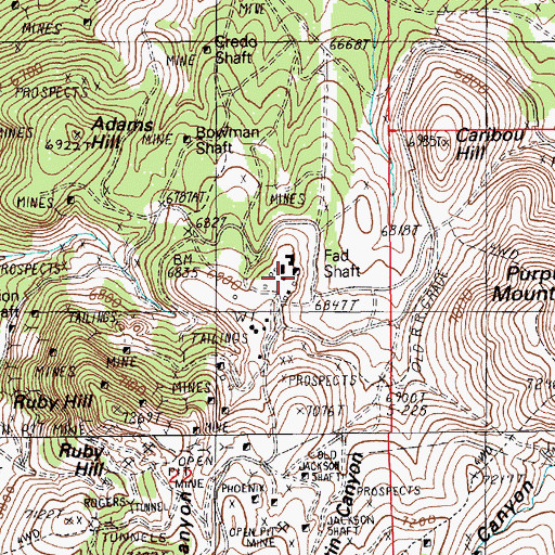 Topographic Map of Fad Shaft, NV