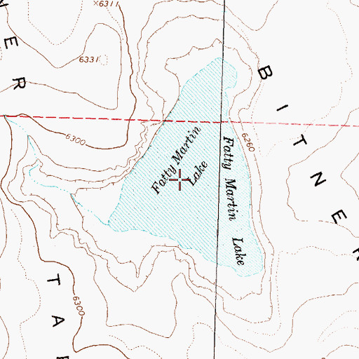 Topographic Map of Fatty Martin Lake, NV
