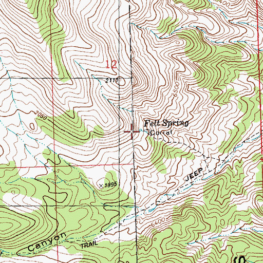 Topographic Map of Felt Spring, NV