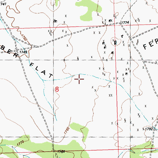 Topographic Map of Ferber Flat, NV