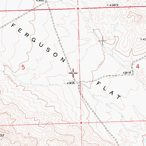 Topographic Map of Ferguson Flat, NV