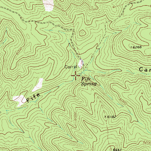 Topographic Map of Fife Spring, NV