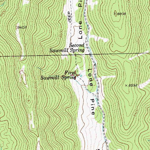 Topographic Map of First Sawmill Spring, NV