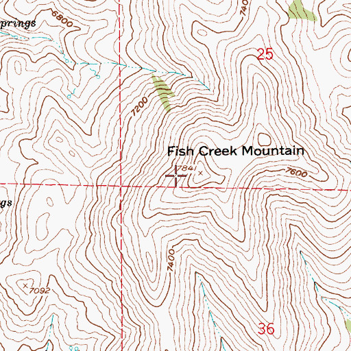 Topographic Map of Fish Creek Mountain, NV
