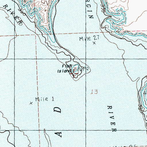 Topographic Map of Fish Island, NV