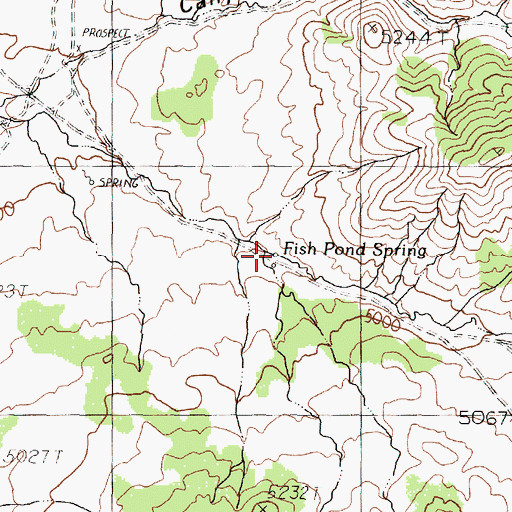 Topographic Map of Fish Pond Spring, NV