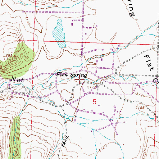 Topographic Map of Fish Spring, NV