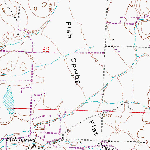 Topographic Map of Fish Spring Flat, NV