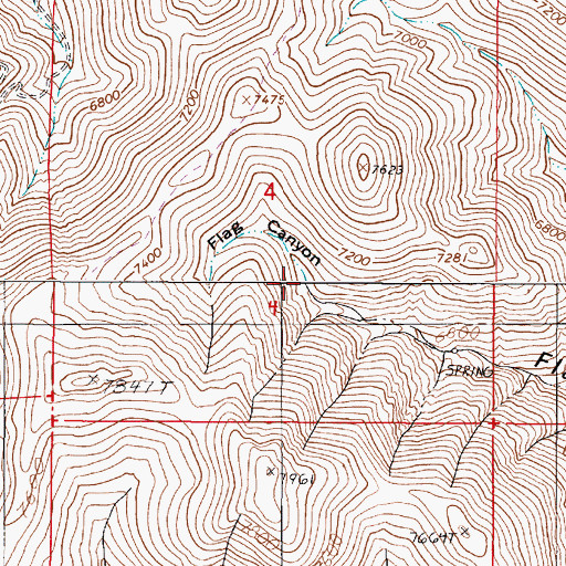 Topographic Map of Flag Canyon, NV