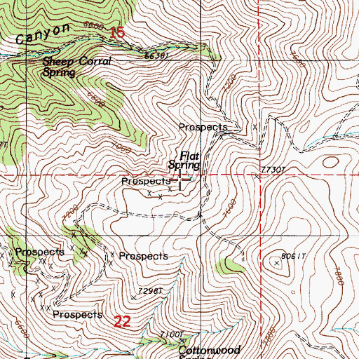 Topographic Map of Flat Spring, NV