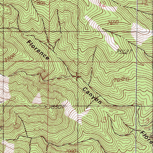 Topographic Map of Florence Spring, NV