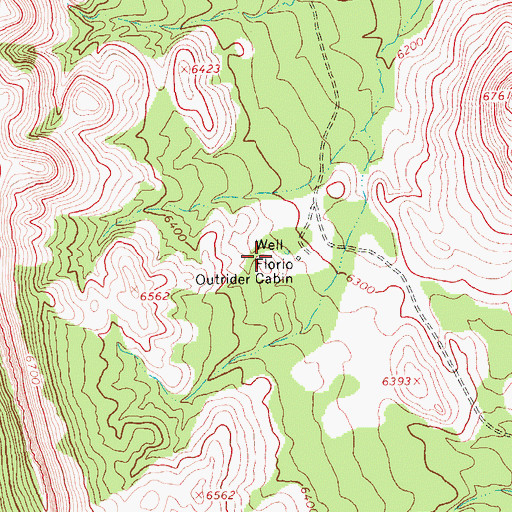Topographic Map of Florio Outrider Cabin, NV