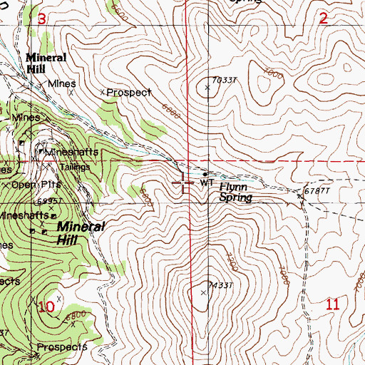 Topographic Map of Flynn Spring, NV