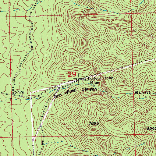 Topographic Map of Forlorn Hope Mine, NV