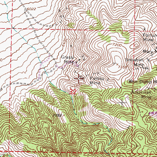 Topographic Map of Fottler Mine, NV