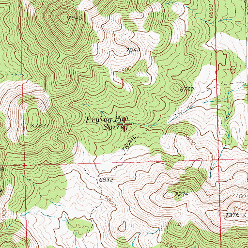 Topographic Map of Frying Pan Spring, NV