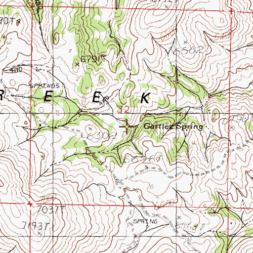 Topographic Map of Gartiez Spring, NV