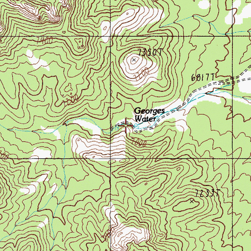 Topographic Map of Georges Water, NV
