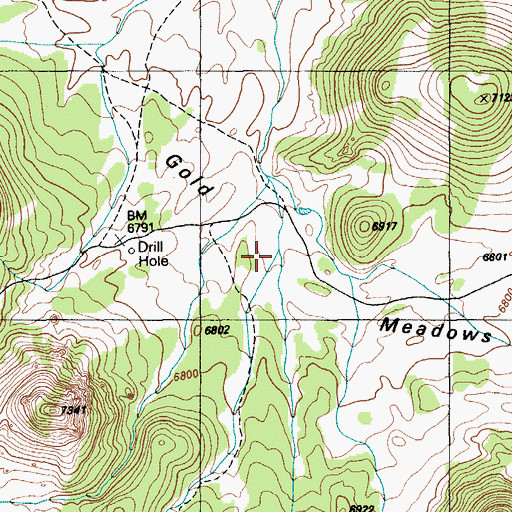 Topographic Map of Gold Meadows, NV