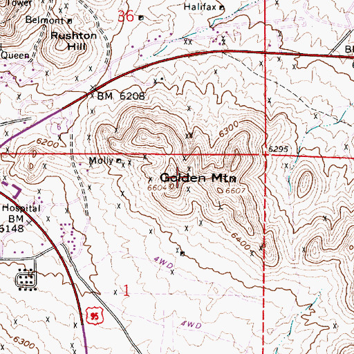 Topographic Map of Golden Mountain, NV