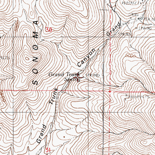 Topographic Map of Grand Trunk Spring, NV