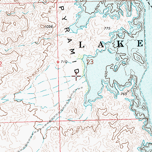Topographic Map of Grapevine Canyon, NV