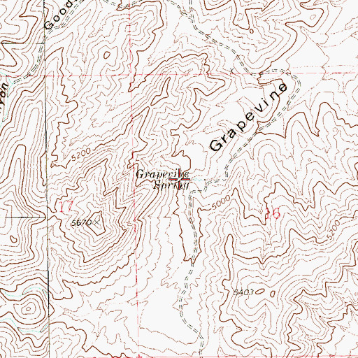 Topographic Map of Grapevine Spring, NV