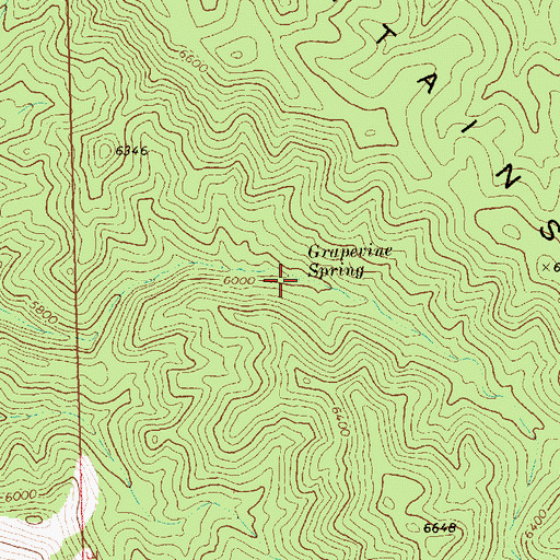 Topographic Map of Grapevine Spring, NV