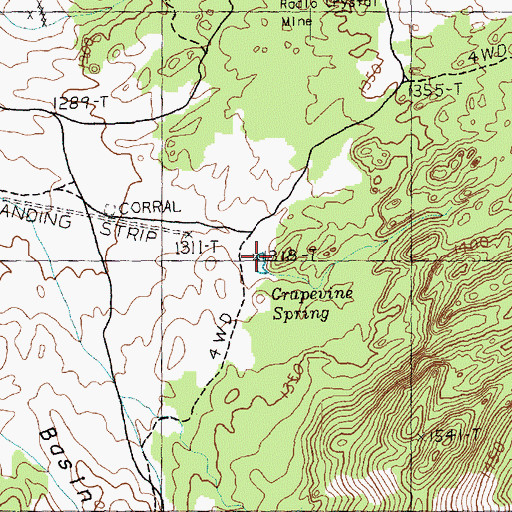 Topographic Map of Grapevine Spring, NV