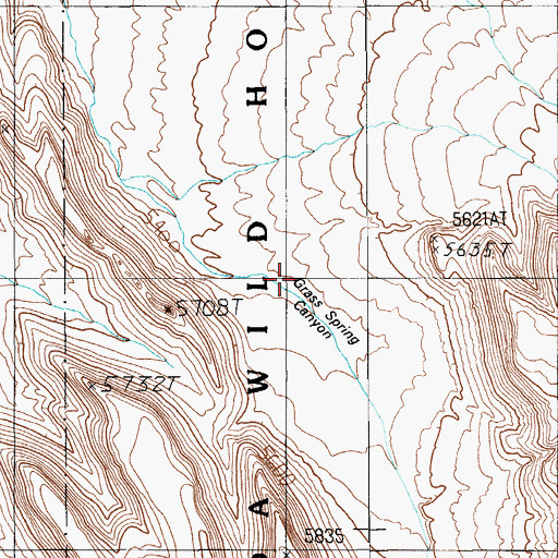 Topographic Map of Grass Spring Canyon, NV