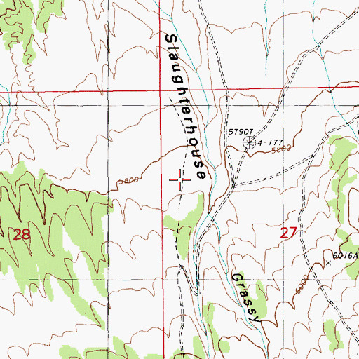 Topographic Map of Grassy Canyon, NV