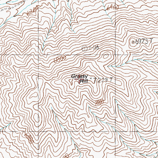 Topographic Map of Grassy Hill, NV
