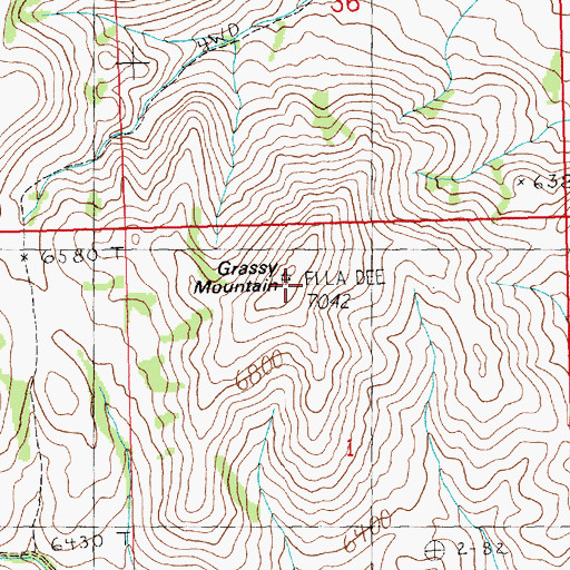 Topographic Map of Grassy Mountain, NV