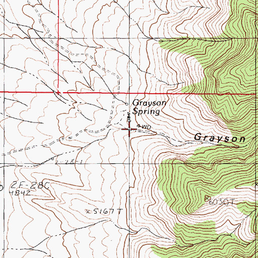 Topographic Map of Grayson Canyon, NV