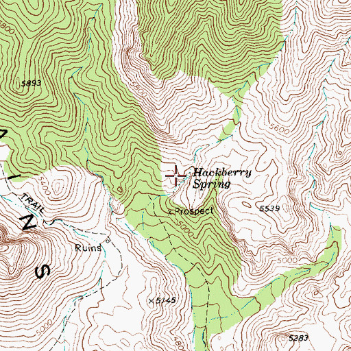 Topographic Map of Hackberry Spring, NV