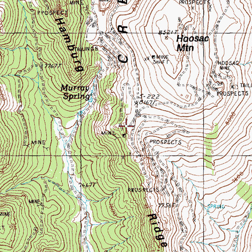 Topographic Map of Hamburg Ridge, NV