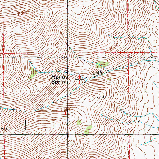 Topographic Map of Handy Spring, NV