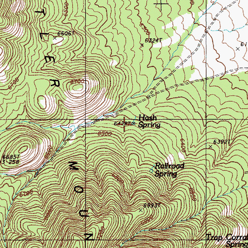 Topographic Map of Hash Spring, NV