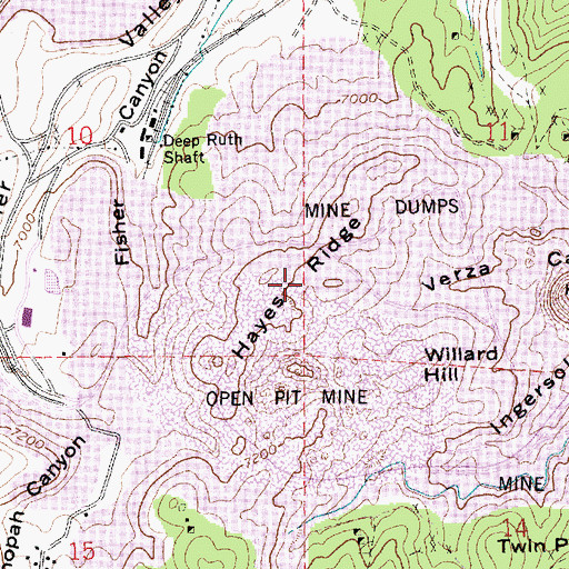 Topographic Map of Hayes Ridge, NV