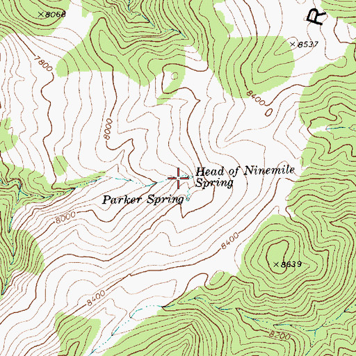 Topographic Map of Head of Ninemile Spring, NV