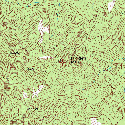 Topographic Map of Hidden Mountain, NV